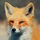 Foxyface